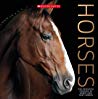 Horses: The Definitive Catalog of Horse and Pony Breeds