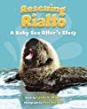 Rescuing Rialto: A Baby Sea Otter’s Story