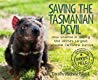 Saving the Tasmanian Devil: How Science Is Helping the World’s Largest Marsupial Carnivore Survive